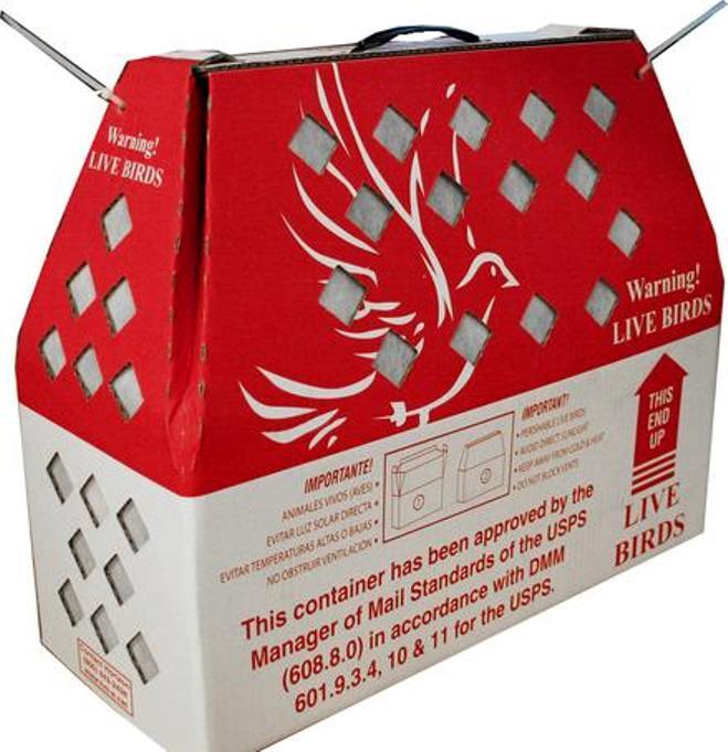 Live Bird Shipping Boxes Chicken Shipping USPS Approved Live Bird Shipping Boxes