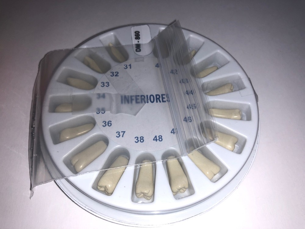US Dental Typodont for Practice Teeth Model Soft Gum & Simulation Cheek
