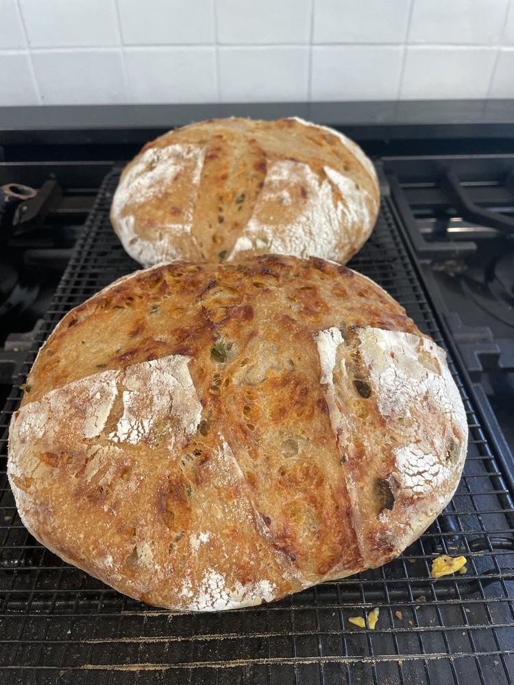 Sourdough starter, Organic Dehydrated And Very Active Starter