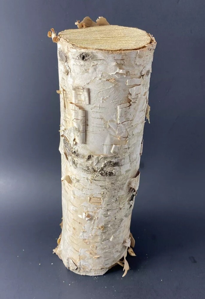 Birch Log For Crafts Projects Decorations Fireplace Carpentry Natural Wood Piece