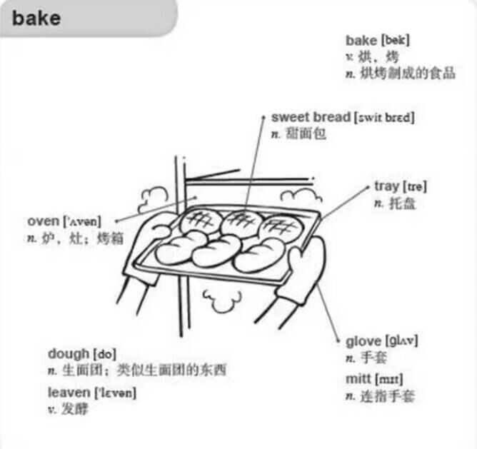 好快!10天背完3000英语单词小学英语单词大全英语单词记背神器词汇大全小学初中高中单词英语词汇速记大全分类书籍