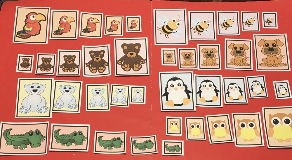 Laminated Sorting Cards - Size  Sorting - 40 Cards Set