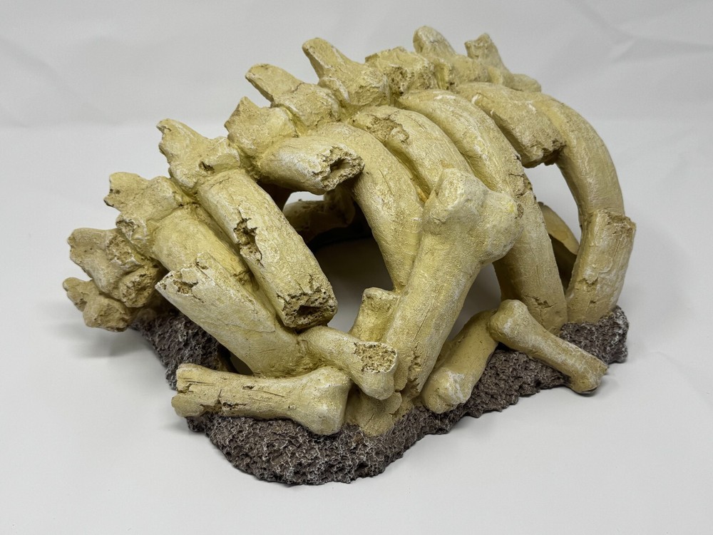 Bones Aquarium Decoration for Reptile