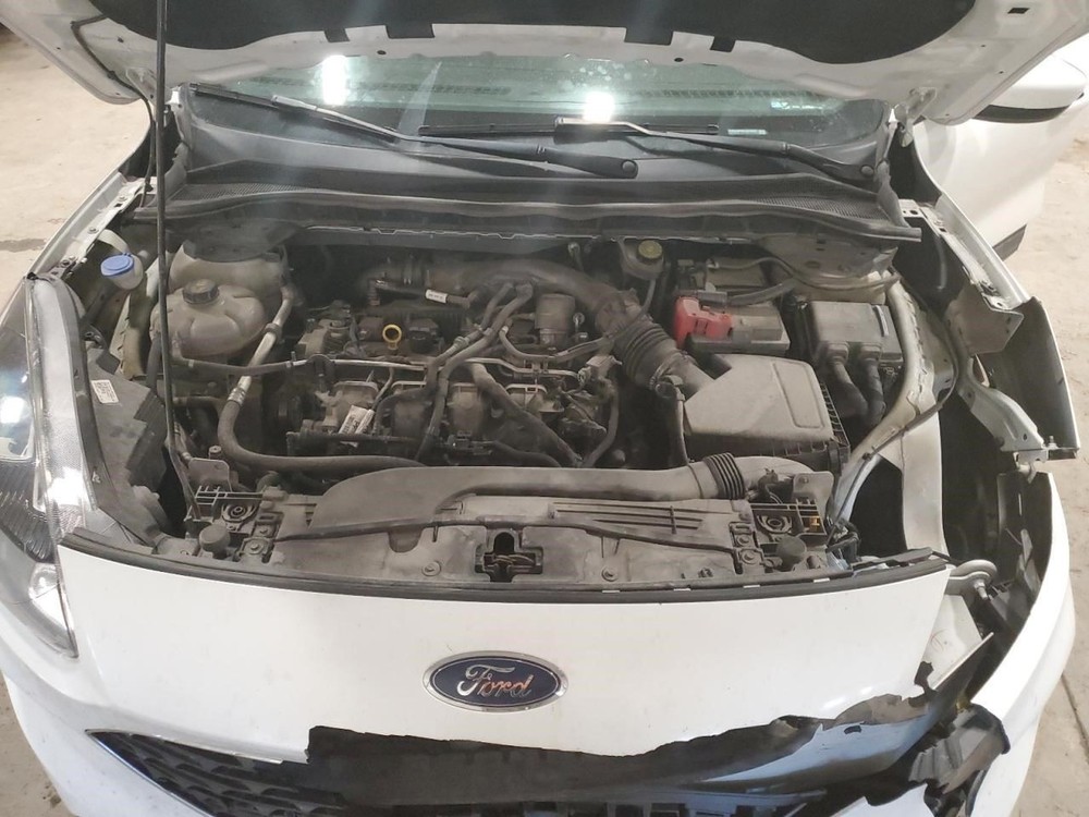 ESCAPE 2020 Glove Box 2092305