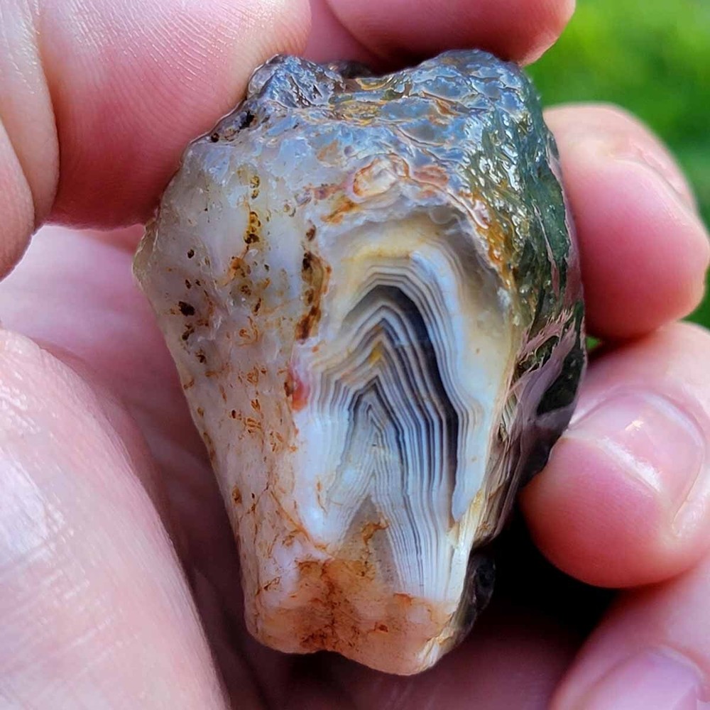 Random Pull RARE Botswana Agate Rough! Old Stock Lapidary Stone Materials!