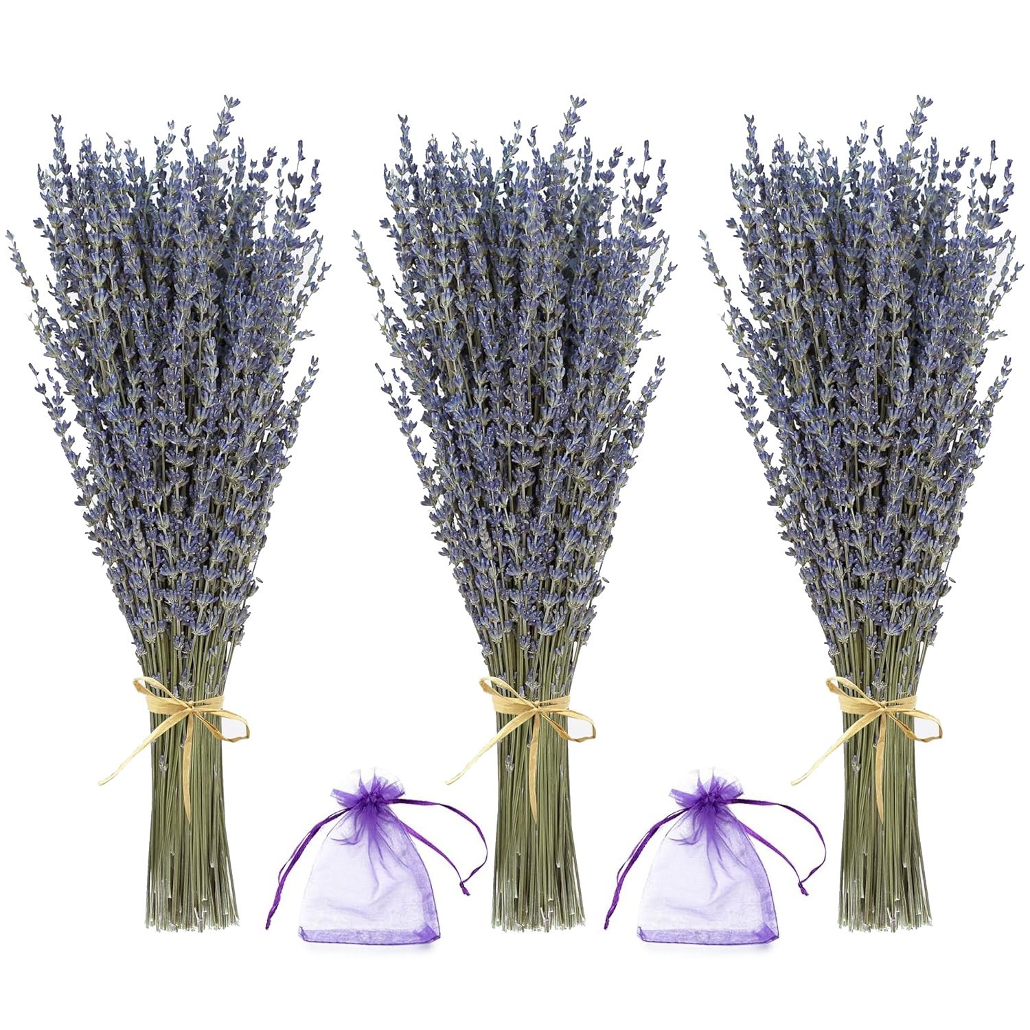 Lavender Bundles - Natural Dried Flowers for Home Decor, 150g (3 Bunches)