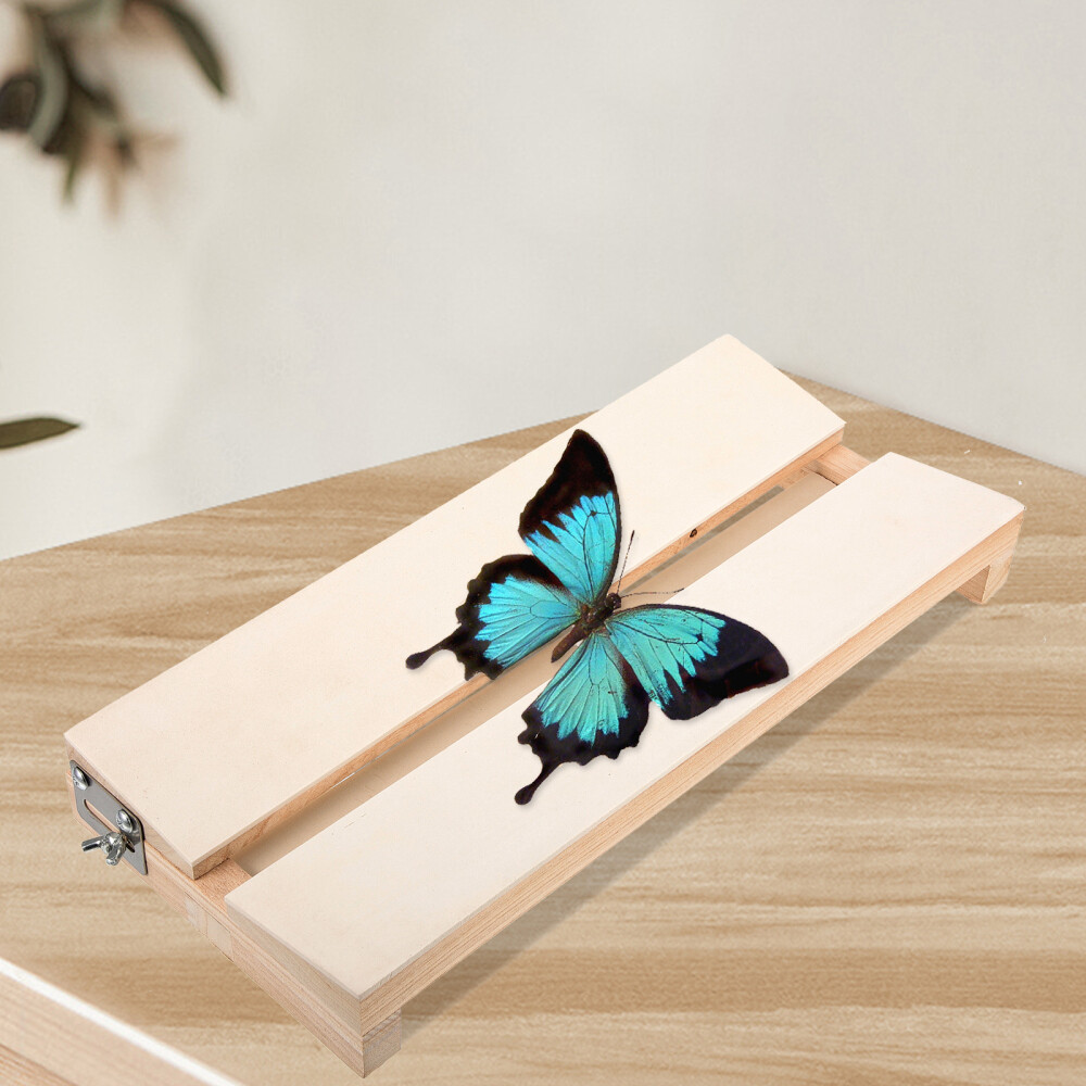 Insect Pinning Board Specimen Display Board Adjustable Labs Board for Education