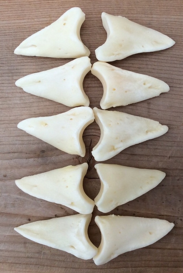10 Deer Distal Phalanx Bones Knuckle Bones Phalanges
