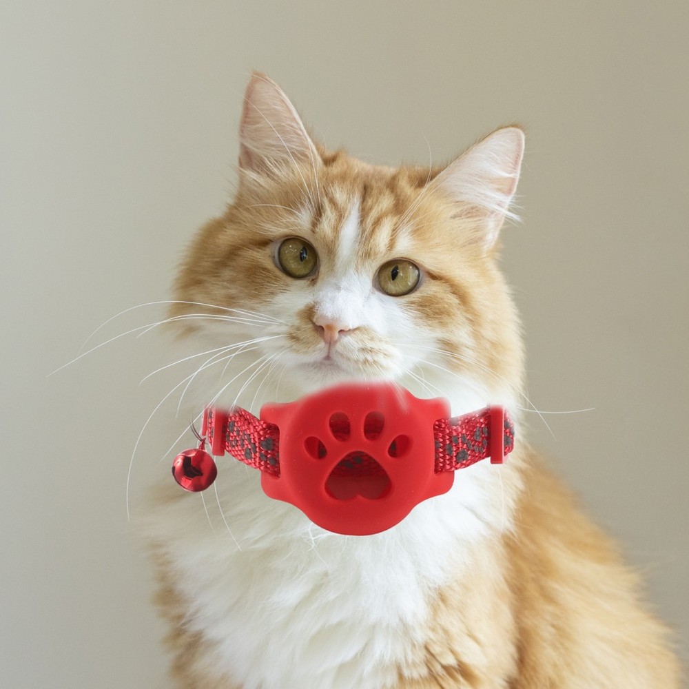 3PCS Kitten Tracker Collar Holder with Bell - Reflective Cat Safety Collar -
