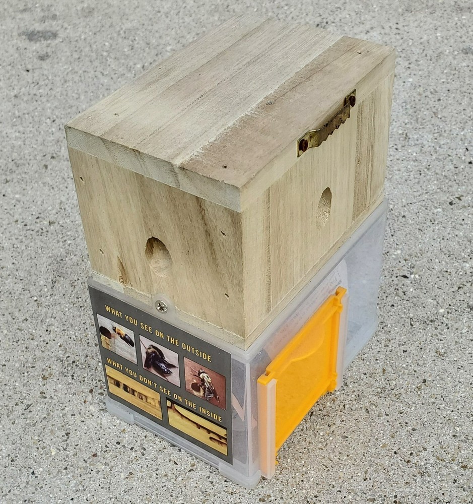 Bees 'N Things Outdoor Carpenter Bee Trap