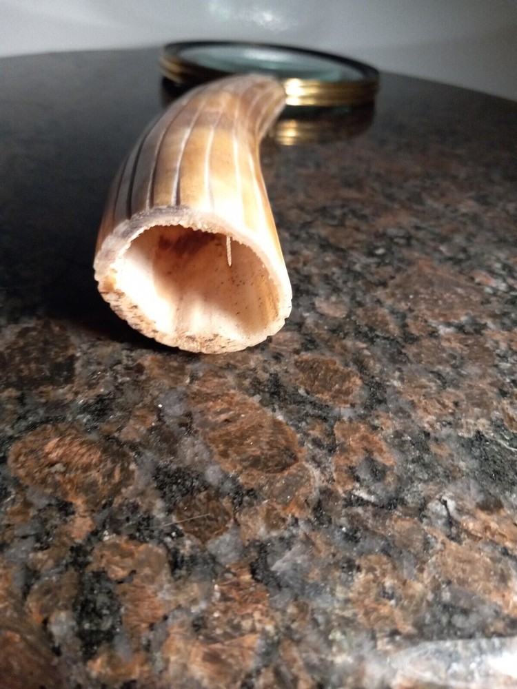 Vintage Horn/Bone Handle 13" Magnifying Glass