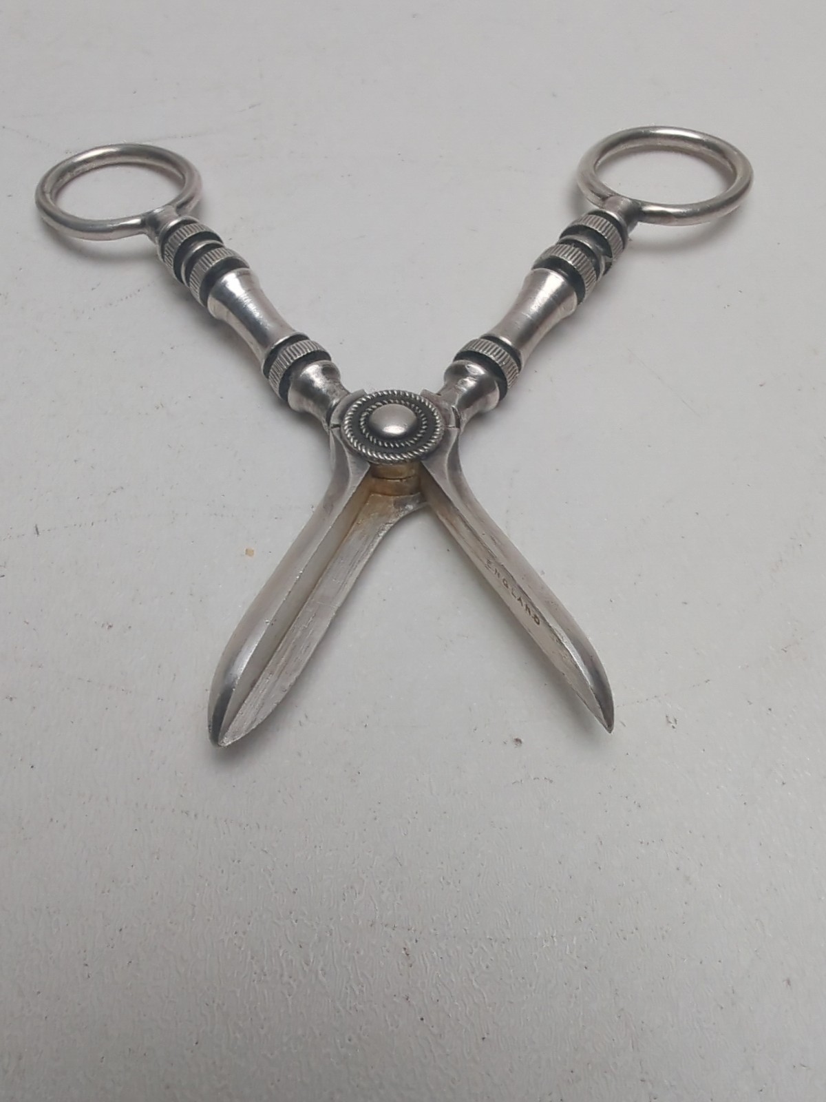 Antique Silver Grape Scissors Shears - Marked England