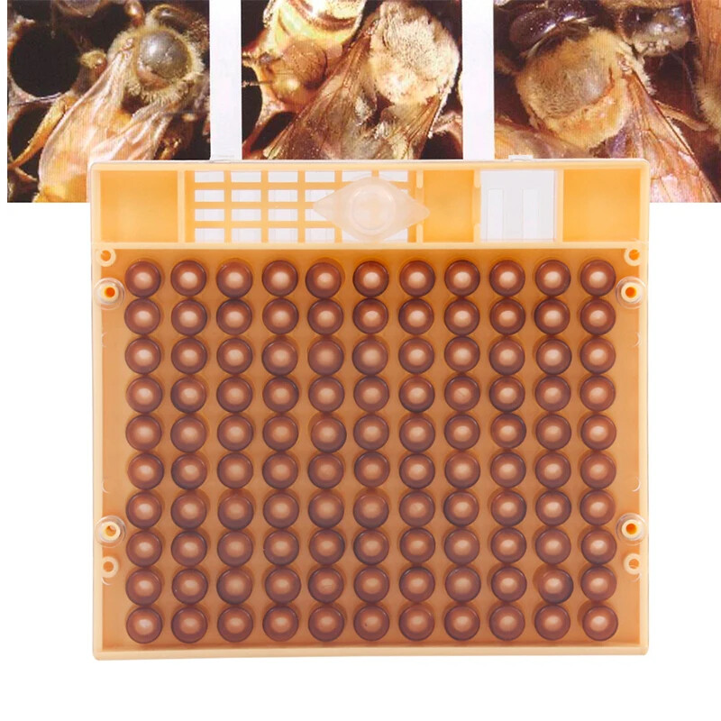 Beekeeping Tools Set Queen Rearing Cultivating Box 110pcs Plastic Bee Cell Cups