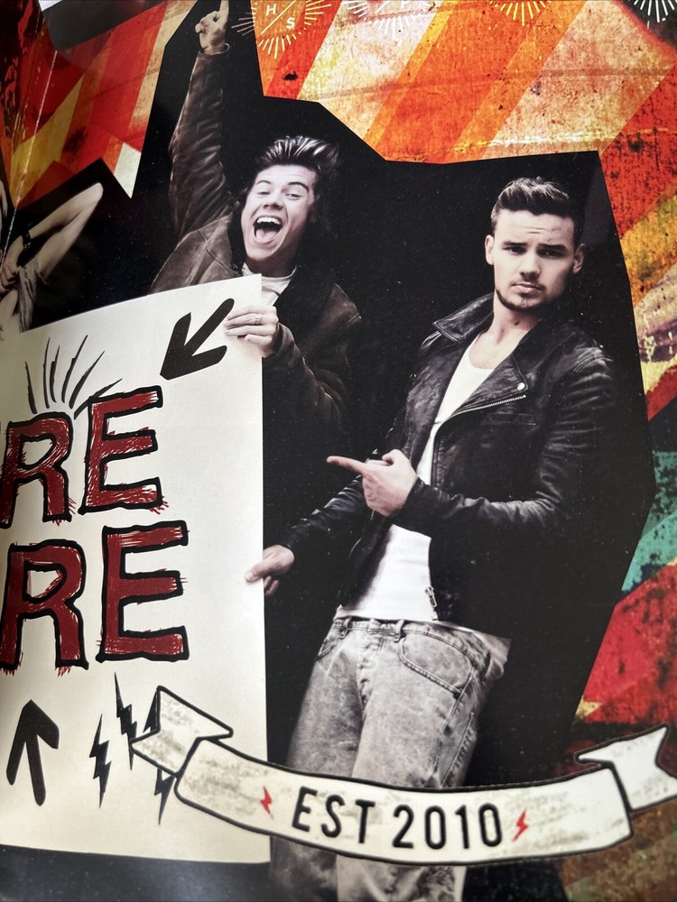2014 HARRY STYLES 1d One Direction "Where We Are" Concert Tour Program READ