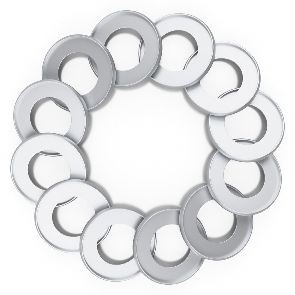 Discagenda Discbound Discs (Silver, 12 Piece 1.65in) Silver