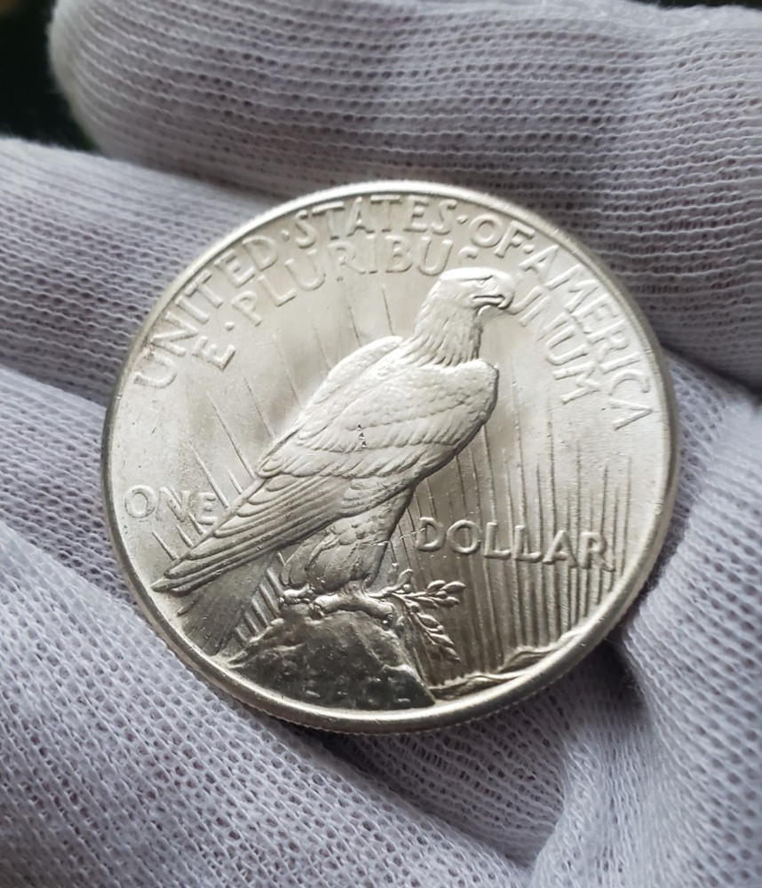 1925 P Peace Dollar BU