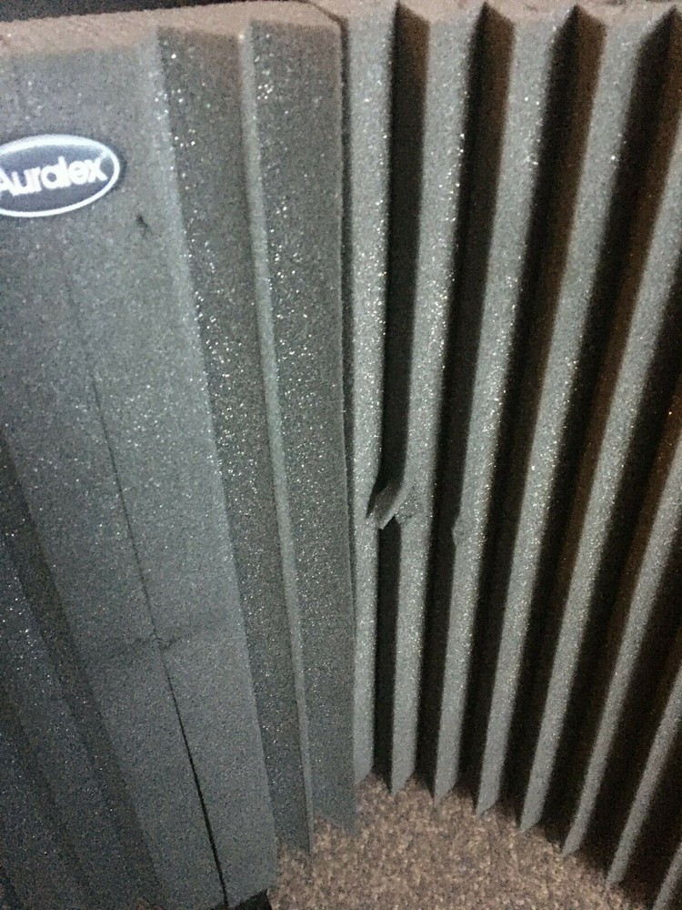 Auralex MudGuard Microphone Shield