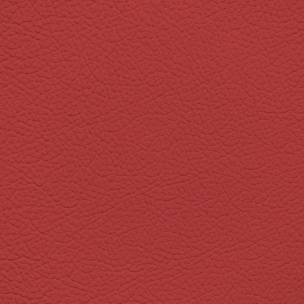 BMW Coral Red Leather Dye