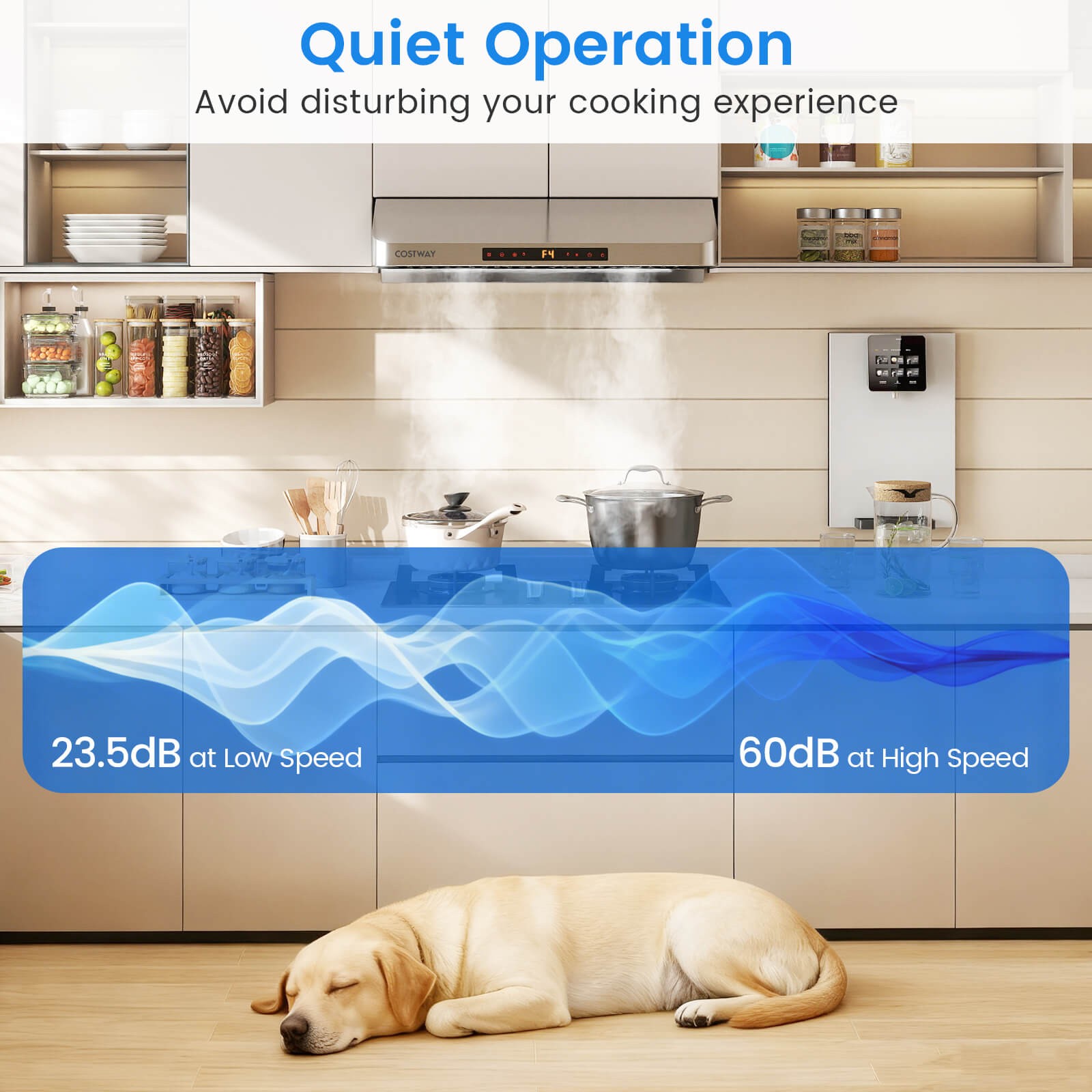 30 Inch 900 CFM Under Cabinet Range Hood w/Oil Collector, 4 Fan Speeds,Timer