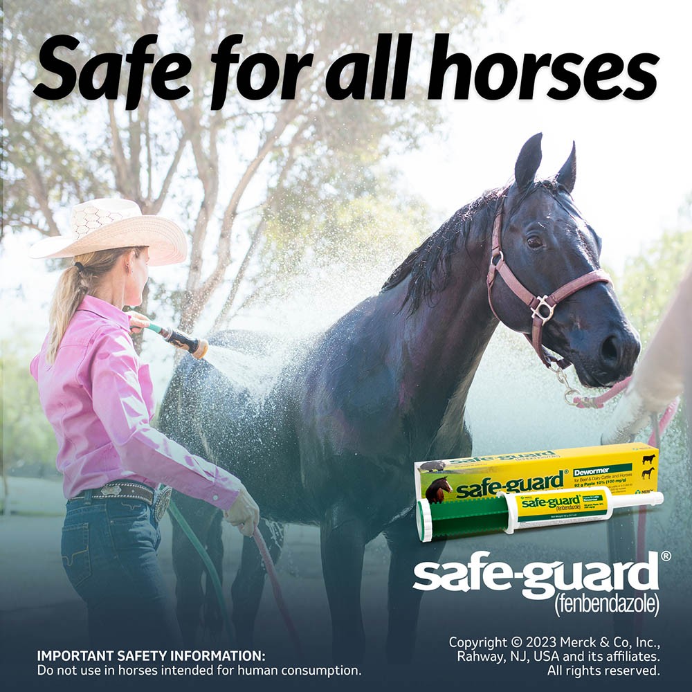 SafeGuard Paste 92gm