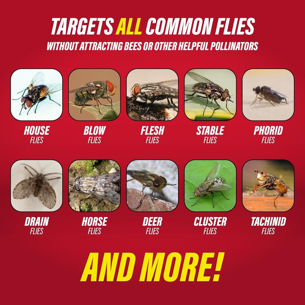 Catchmaster Reusable Fly Jar – Fly Trap with Food-Based Lure