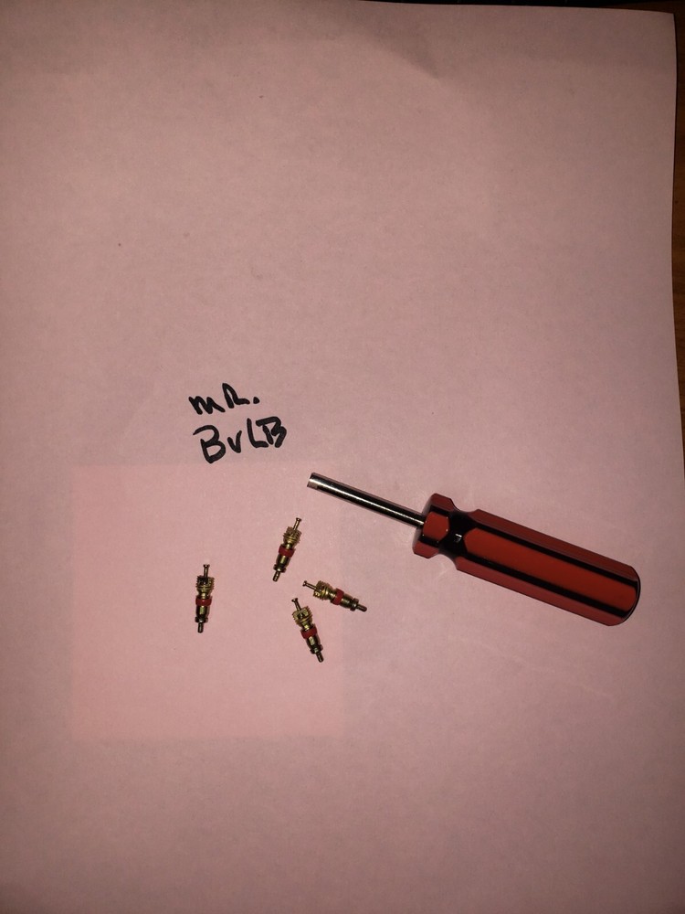 🤡🔥🧯 4-WATER  FIRE EXTINGUISHER REPLACEMENT SCHRADER CORE PIN w/CORE TOOL 🔥🧯