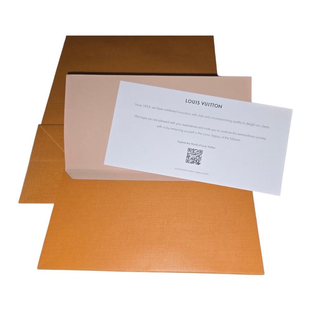 Louis Vuitton Gift Bag Box & Envelope Packaging