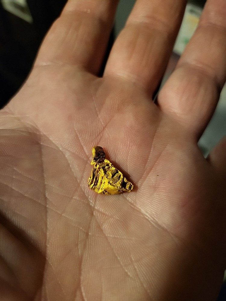 Gold Nugget