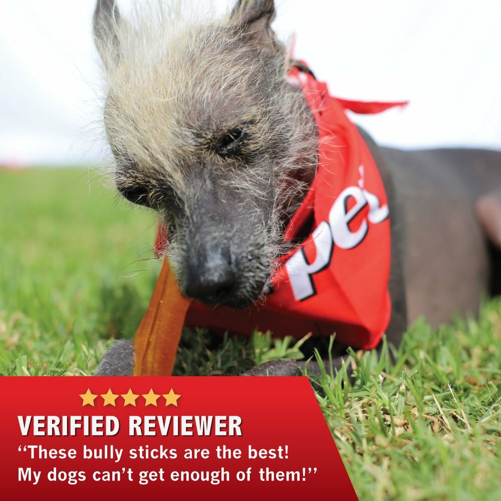 All Natural 4" Bully Jumbo Thick Sticks FDA & USDA APPROVED