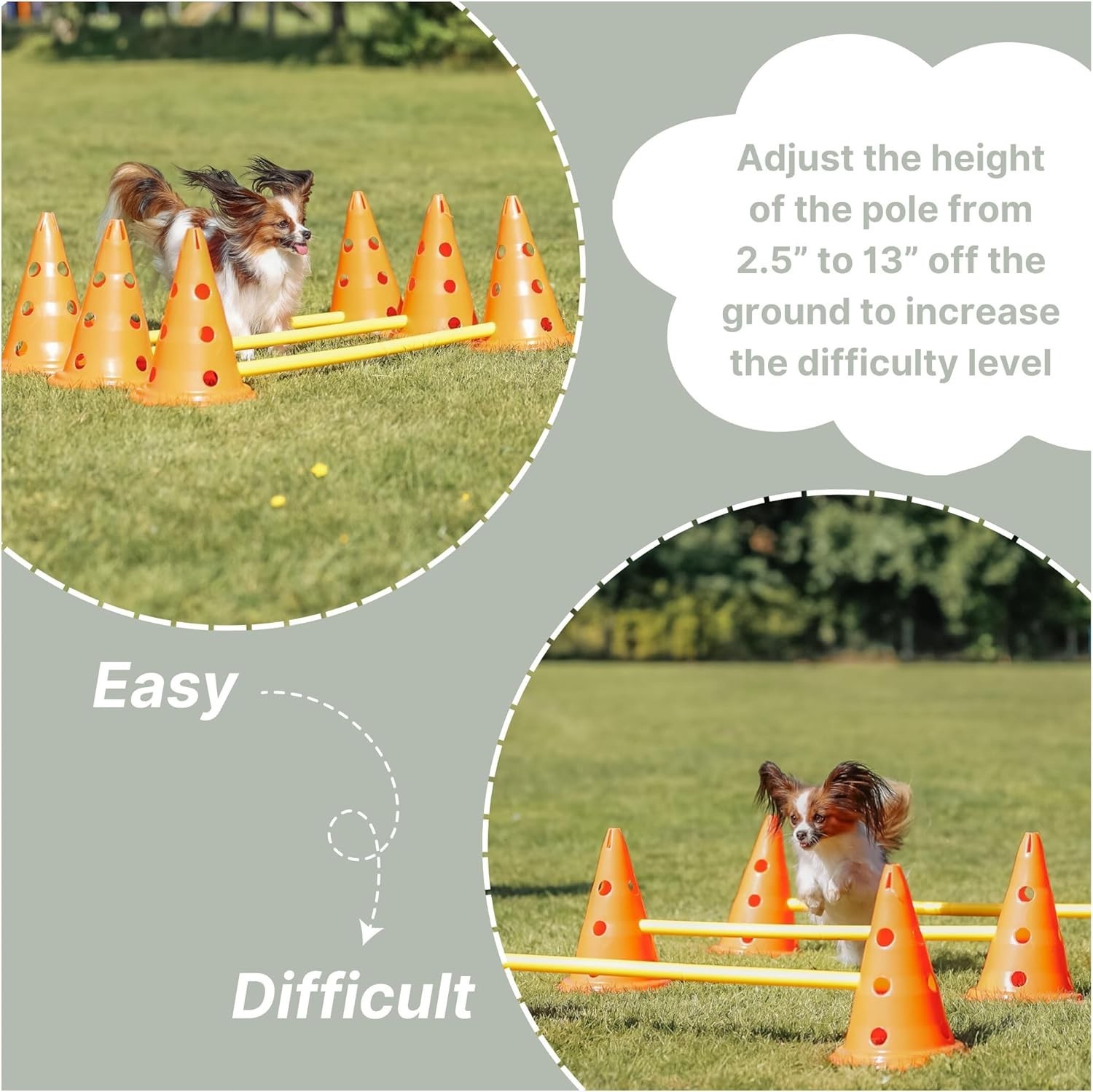 Complete Dog Agility Hurdle Set - 6 Cones, 3 Adjustable Rods, Training Tips