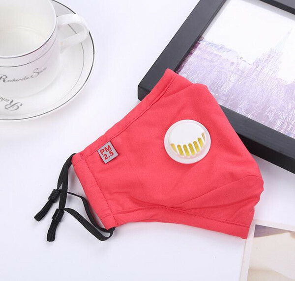 Cotton Face mask with 2 Filters