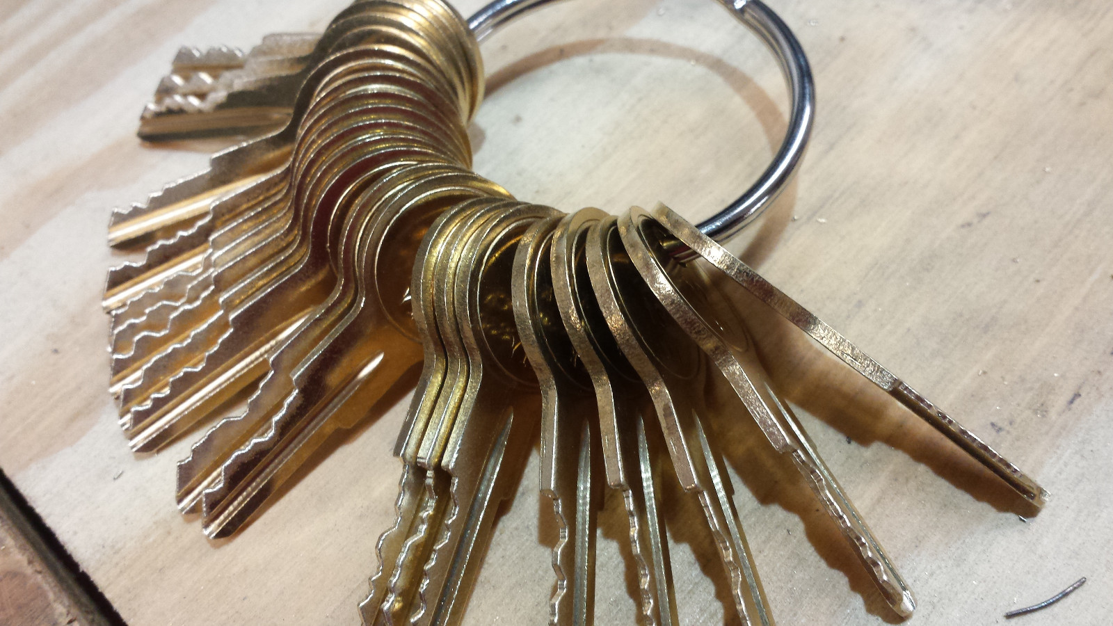 Detex Keys Full set 20 keys DT11 through DT30--CUT ON NEW BLANKS BY LOCKSMITH