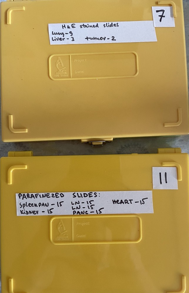 Two Microscope storage boxes with mouse tissues slides