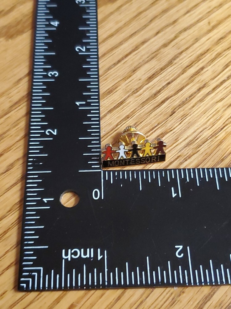 Montessori School Teaching Pin H2