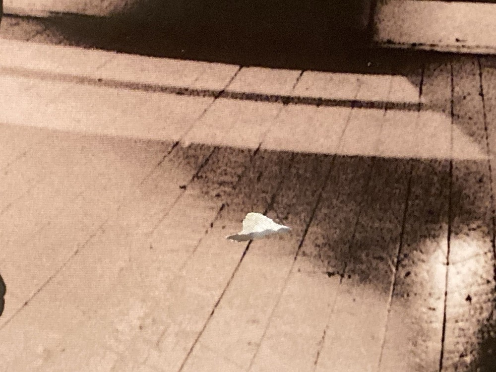 Screaming Trees 1996 Poster Funky Mark Lanegan