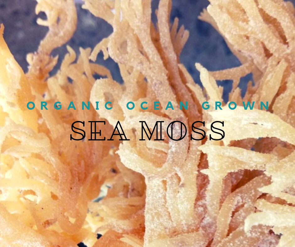 Rastarafi® Sea Moss Gel (Unflavored) Irish Moss | Raw Wildcrafted Superfood Gel