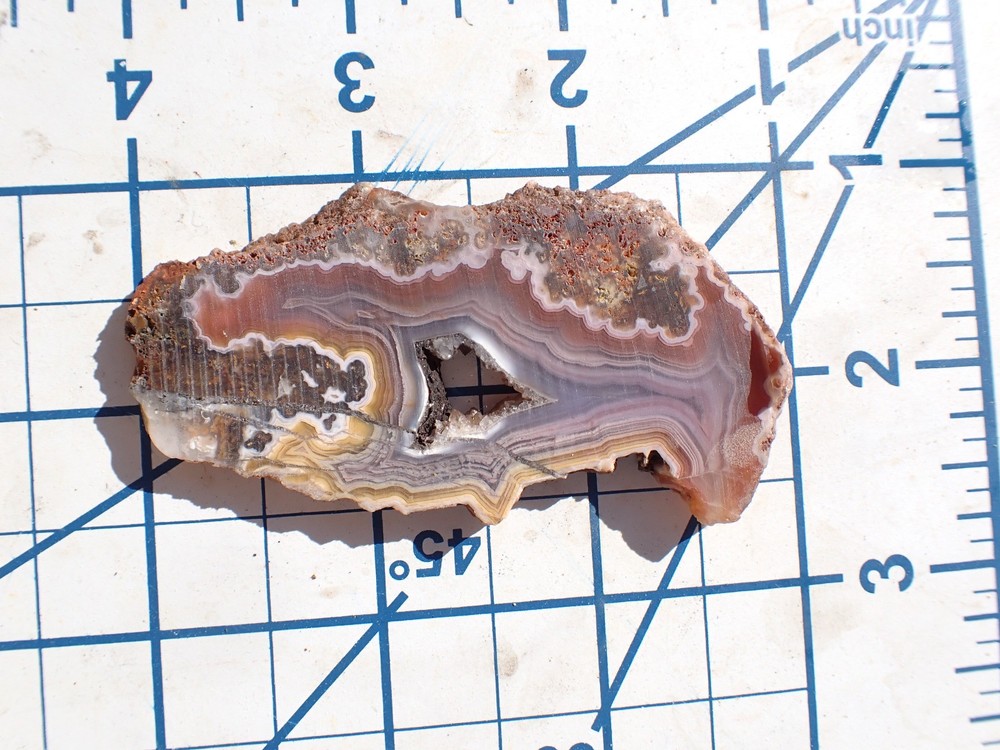 Rare Solid Laguna Agate Rainbow colors Lapidary Slab Parallax