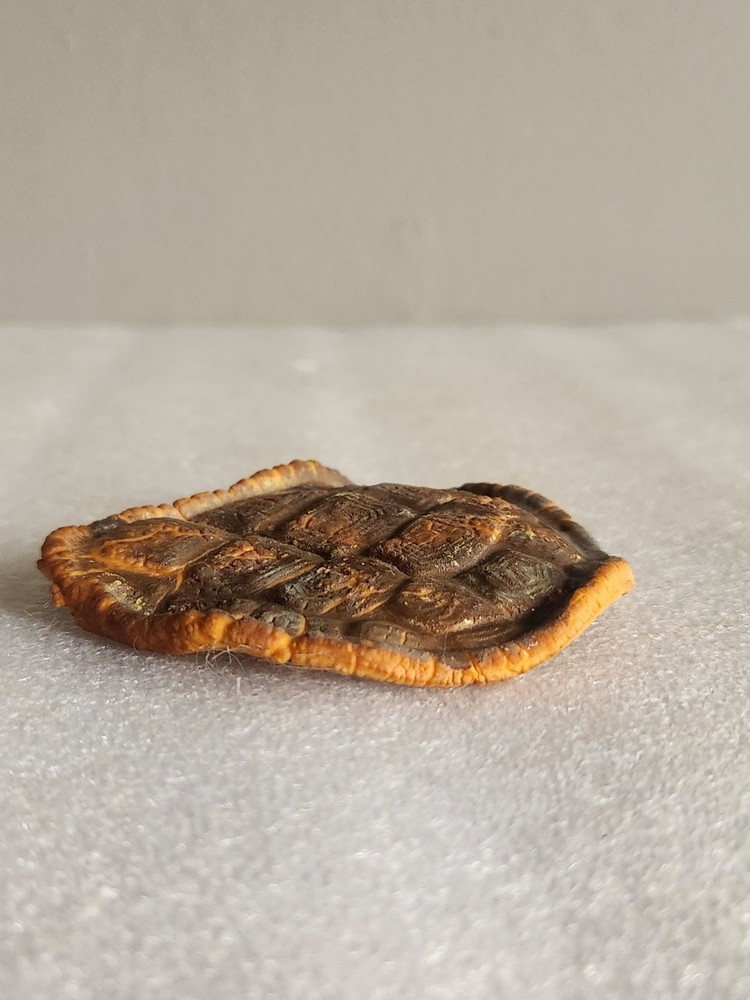 Artificial Rubber Turtle Shell Life-like • 3"×2⅞"