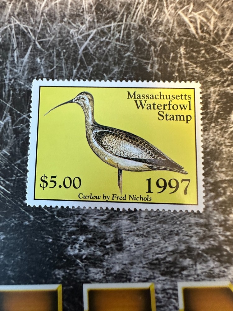 1997 Massachusetts State Duck Stamp,