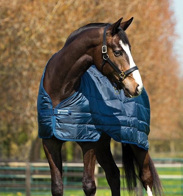 Horseware Liner 200G