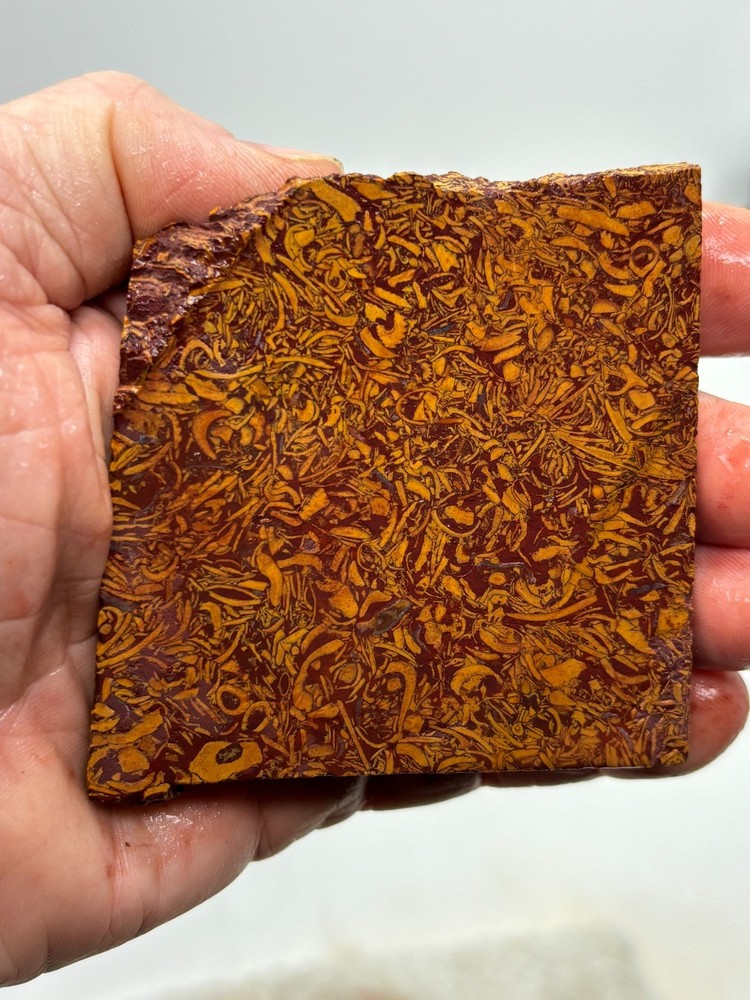 Script Stone Jasper Slab Cabbing Lapidary Collecting Combo Ship Avail