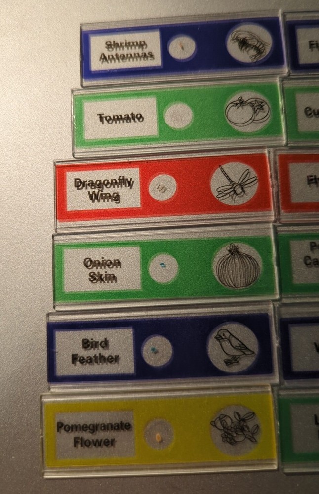 14 Pcs Plastic Prepared Microscope Slides Science Kids Animals Insect Plants EUC
