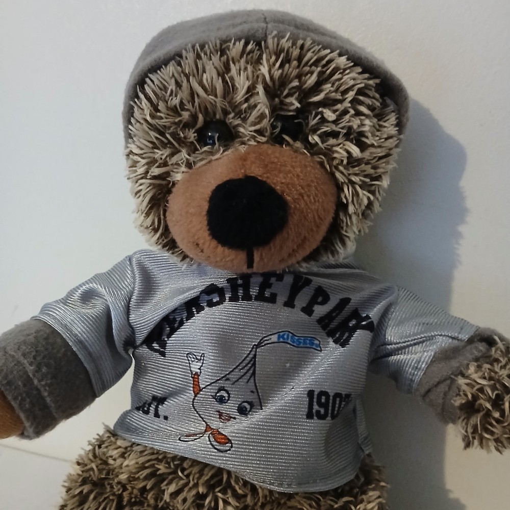 Hershey Park bear from 2015
