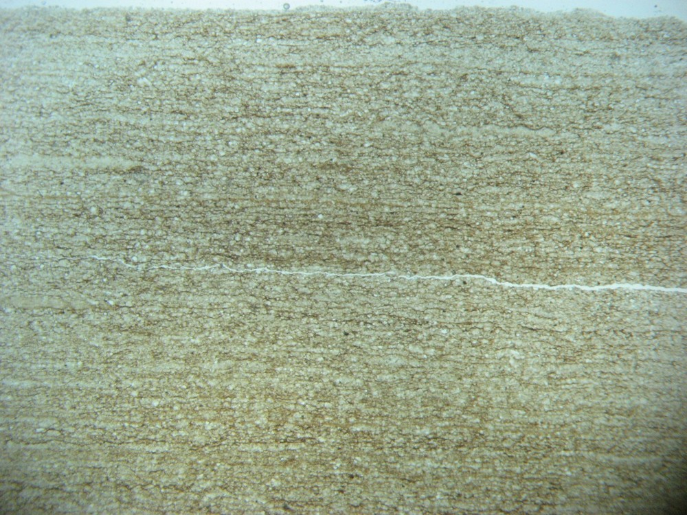 Geological Formation 25 Thin Section Slides Precambrian to Miocene Fossils Rocks