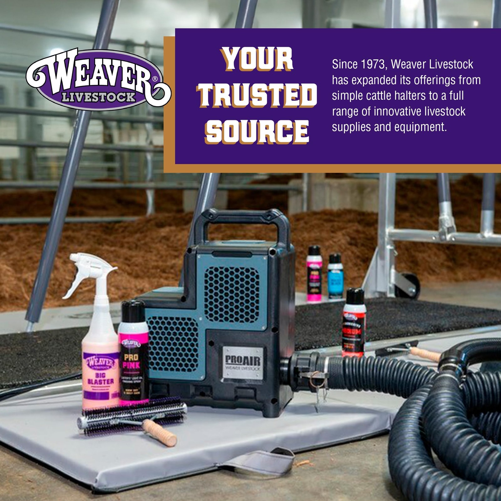 Grooming Brush for Goats, Sheep, Pigs, Cattle Stiff Bristles for Dirt Removal