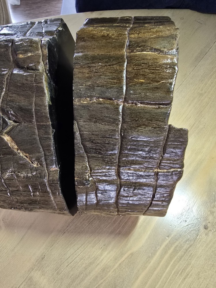Petrified Wood Book Ends Glossed