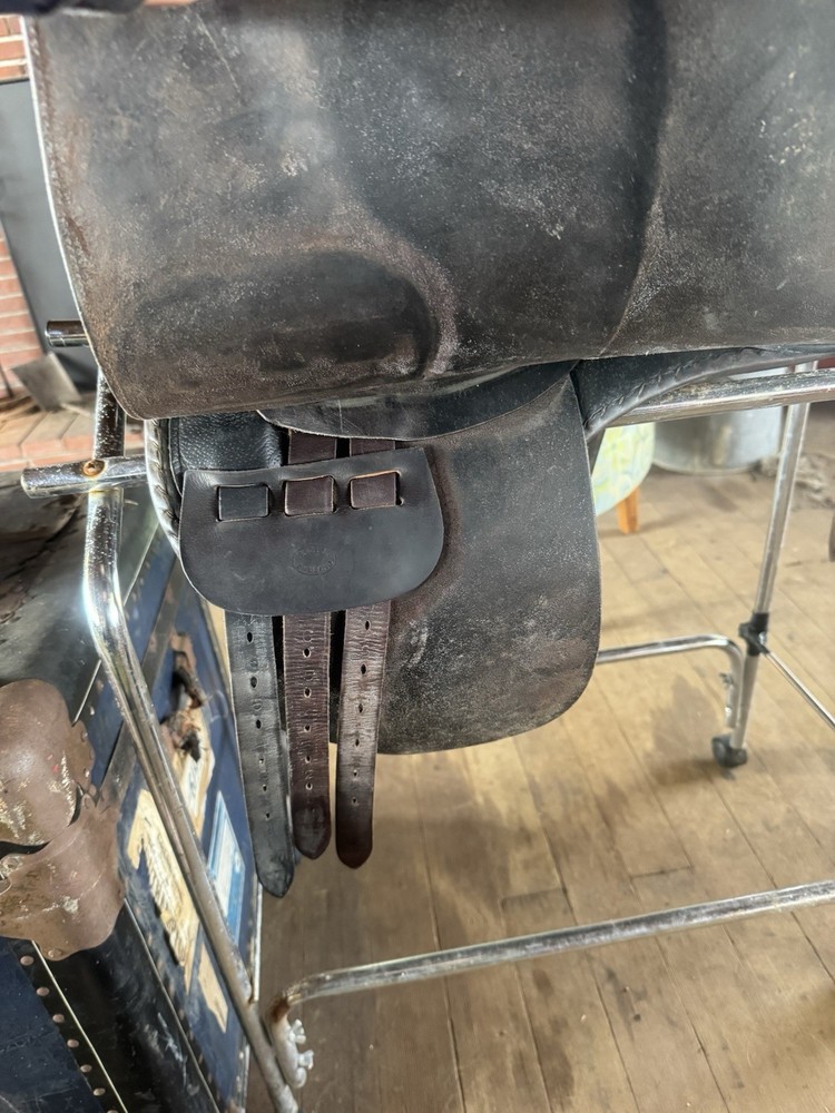 Blue Ribbon Cutback Saddle