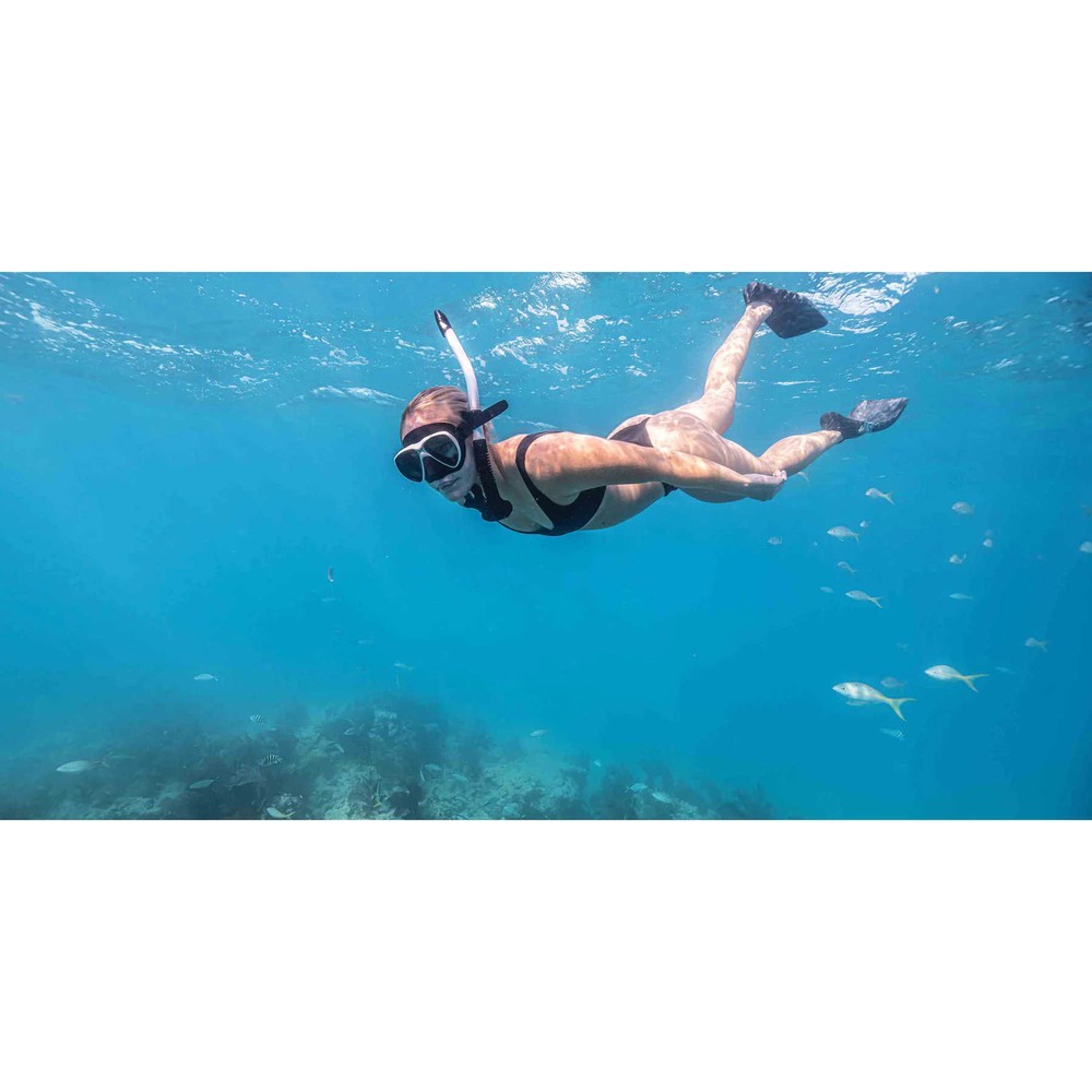 Riffe Stable Snorkel