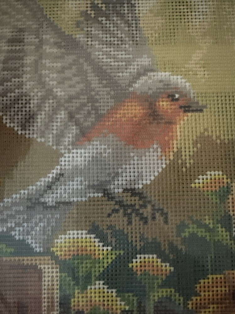Printed needlepoint tapestry Canvas Only Robbins 30x40 cm