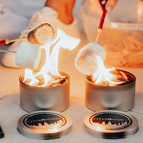 City Bonfires Portable Fire Pit - Mini Pit, Table Top 2 Pack, Silver